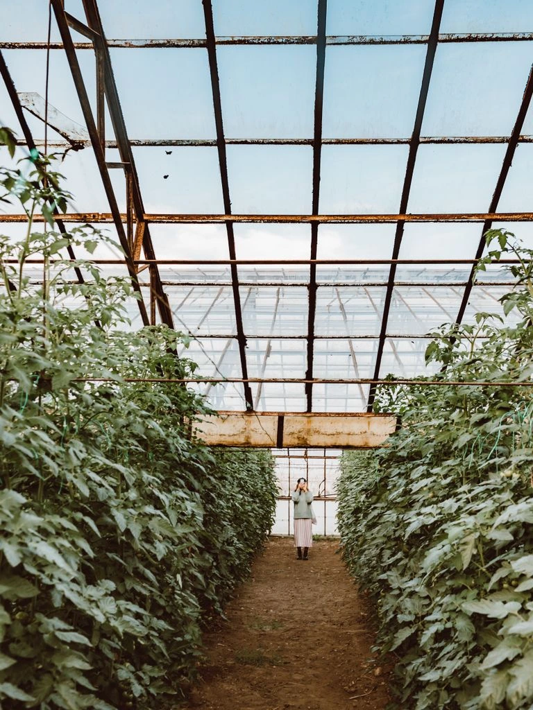 Ligne de production agroalimentaire en inox avec opérateurs en tenue